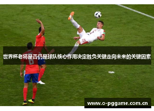 世界杯老将是否仍是球队核心作用决定胜负关键走向未来的关键因素